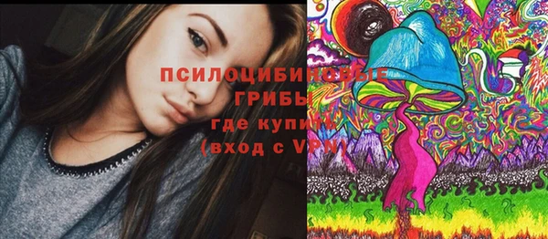 не бодяженный Алексин