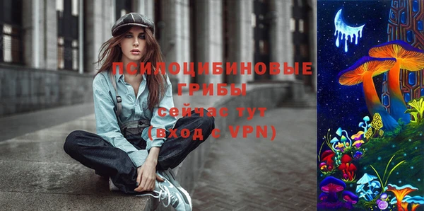 не бодяженный Алексин