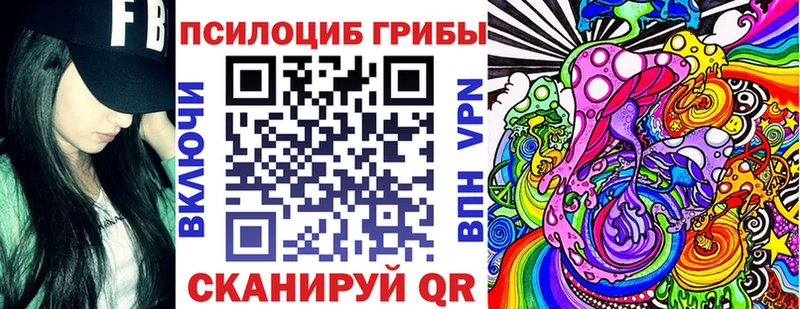 сколько стоит Байкальск Псилоцибиновые грибы Cubensis
